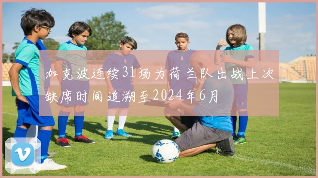 加克波连续31场为荷兰队出战上次缺席时间追溯至2024年6月