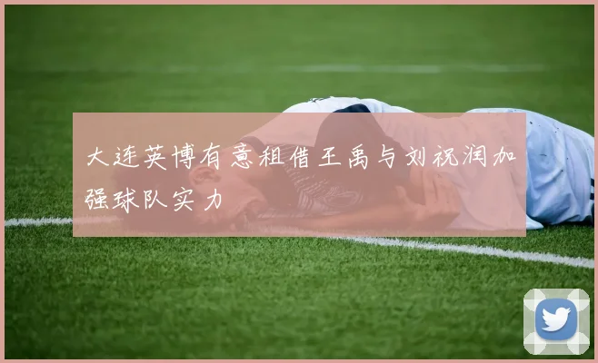 大连英博有意租借王禹与刘祝润加强球队实力